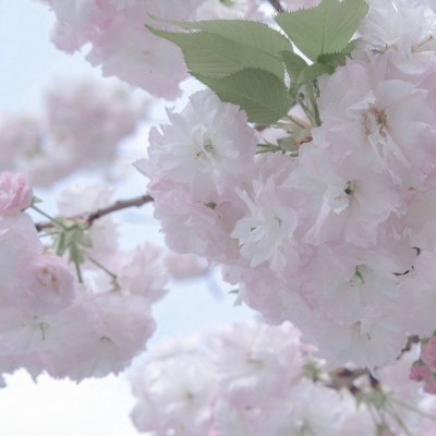 兽设四季场景设计Furry群